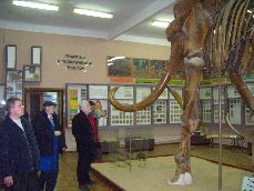 Доисторический слон (живший 500000 лет назад), найден в Азовском районе Ростовской области